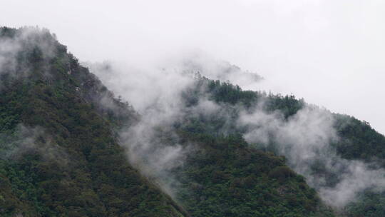 四川都江堰山峰森林云雾延时