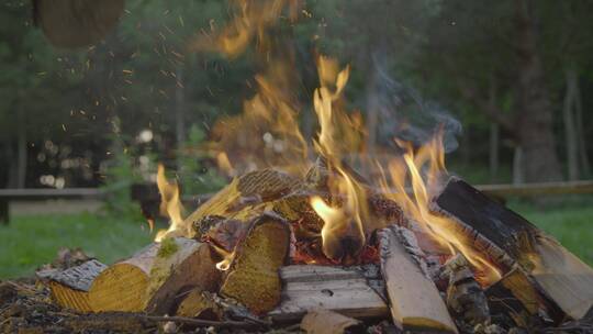 木头被扔到燃烧的篝火上