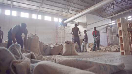 非洲埃塞俄比亚咖啡制作工厂视频素材模板下载