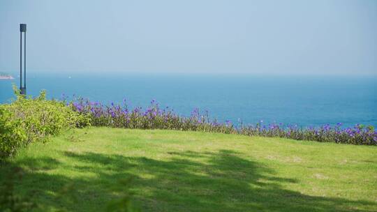 花草树木空境 阳光透过树叶 微风吹拂 大海