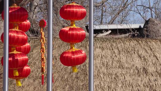 春节民族园挂红灯笼视频素材模板下载