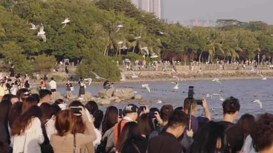 深圳湾公园看鸟观鸟人群