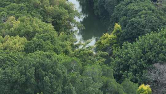 航拍福州城市内河河流 福州白马河