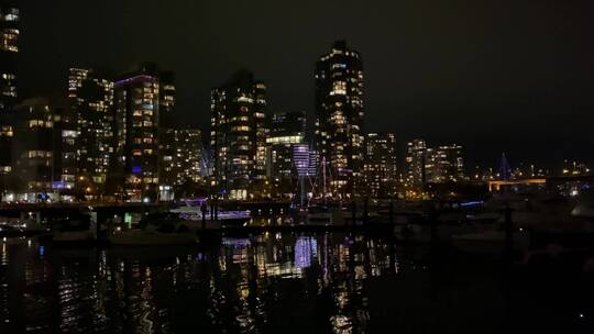 沿海城市夜景