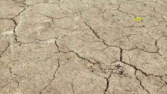 干旱土壤和干旱干涸的土地龟裂干旱土壤