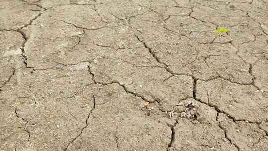 干旱土壤和干旱干涸的土地龟裂干旱土壤视频素材模板下载