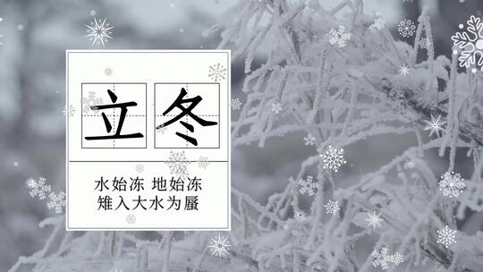 立冬雪花节气白色背景视频AE模板