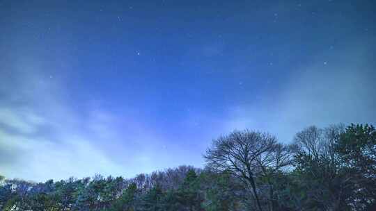 夜晚山林树木星空流星延时