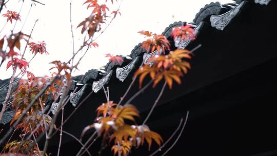 江南烟雨园艺中国海棠树花锦鲤景观设计花坛