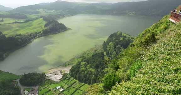 树，山，村庄，湖