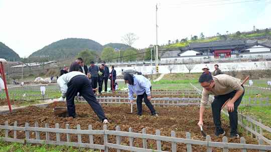 劳动空镜刨土锄地农场工人耕作劳作翻土