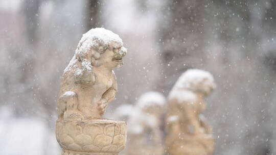 大雪中的故宫博物院内慢镜头景色