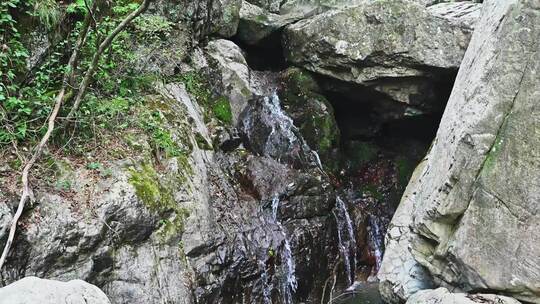 夏天森林里岩石小溪溪流瀑布流水