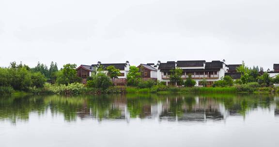 杭州湘湖初夏雨季水鸟空镜