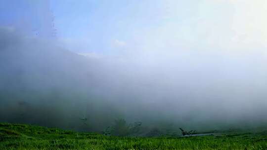 山间草地云雾弥漫景象