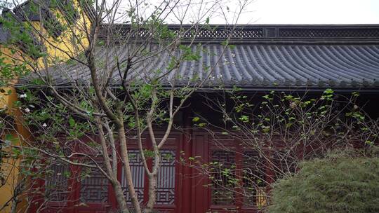 杭州飞来峰永福寺禅院风景