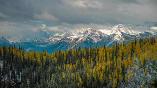 新疆伊犁草原雪山风景4K
