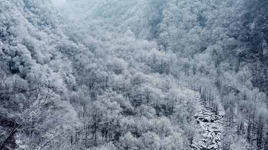 航拍冰雪森林