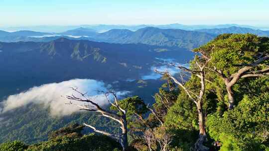 海南五指山热带雨林国家森林公园山脉日出