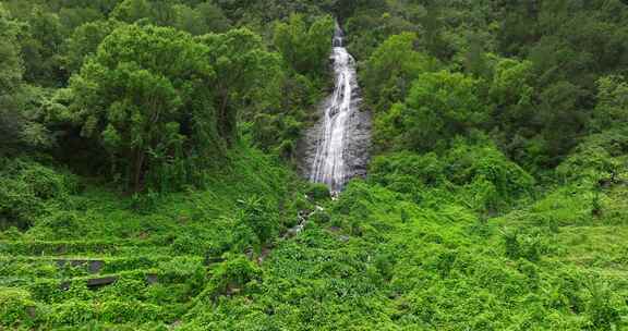 留尼汪岛，瀑布，溪流，森林