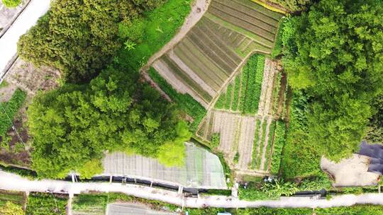 现代农业农田航拍