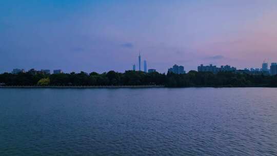 广州日出海珠湿地公园白鹭灰鹭水鸟