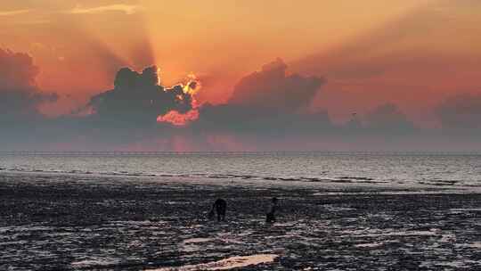 海盐日出 观潮亭 海盐 潮音阁