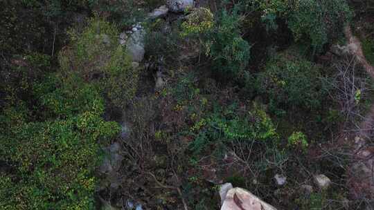 航拍秦岭秋天景色 秦岭 秋季