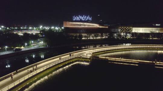 上海之鱼夜景