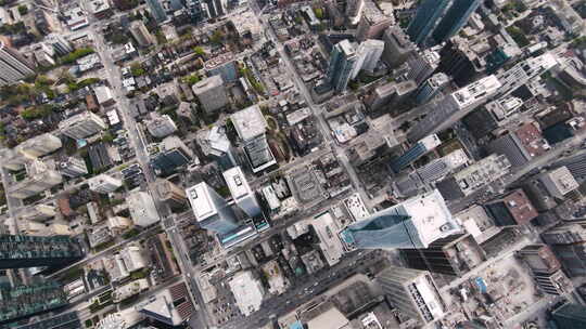 多伦多，加拿大，鸟瞰市中心视频素材模板下载