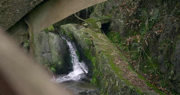 大自然 山野 小溪 苔藓 