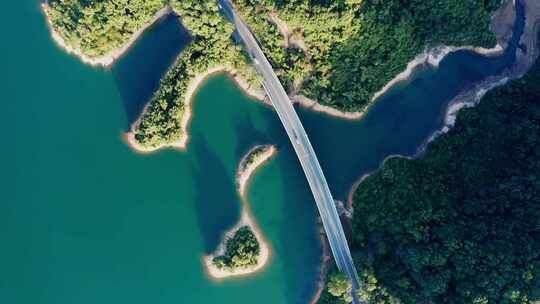 中山最美公路