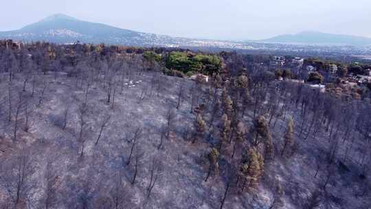 希腊野火和消防车后一个地方的鸟瞰图