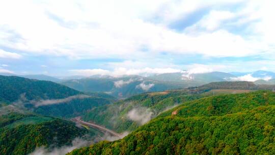 自然长白山树林山中烟雾倒飞视频素材模板下载