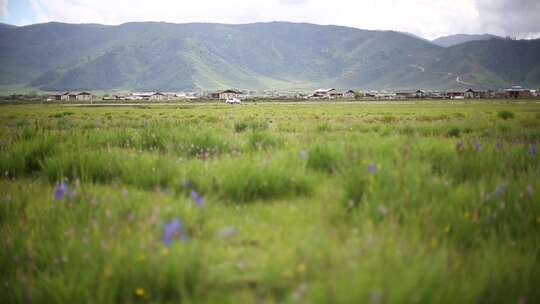 美丽高原上的藏族小村庄