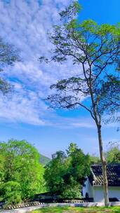 自然风景，慢慢释怀，治愈风景，带你看风景