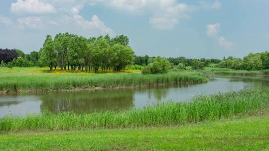 蒲河湿地自然景观