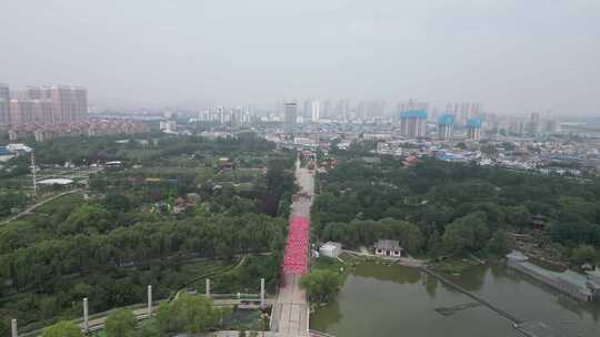 航拍山东菏泽曹州牡丹园4a景区