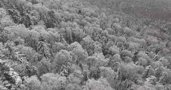 长白山雪岭景区航拍