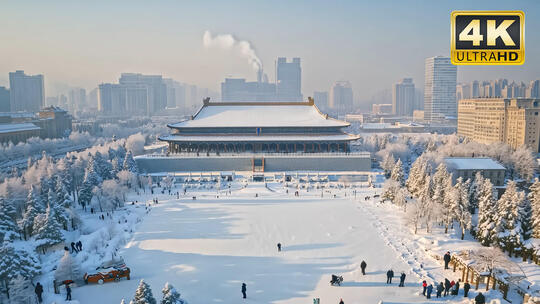 城市雪景北京雪景故宫冬天视频素材1