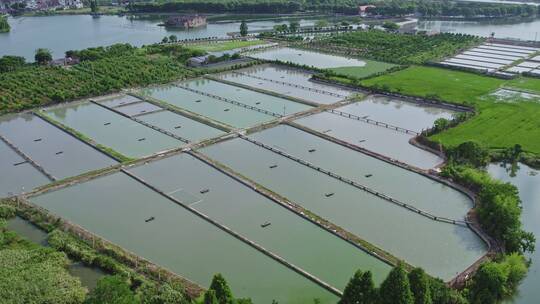 大自然湖景养鱼场与人工养殖河蚌珍珠池塘