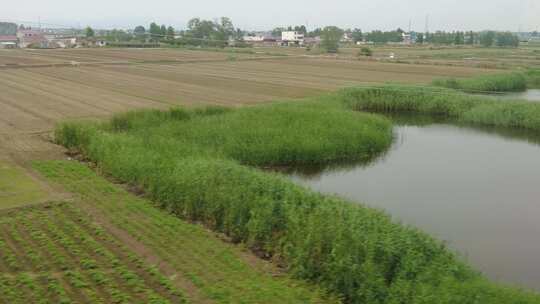 高铁交通旅途火车窗外风景实拍