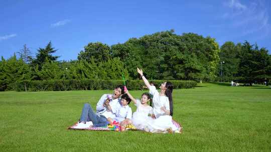 健康快乐 一家人在草地欢乐的玩耍