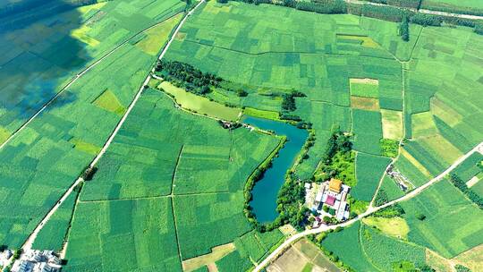 大自然田野田园风舒适草原农村风景