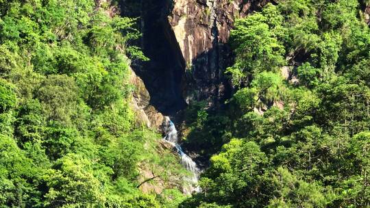 森林山涧瀑布河流大自然风景