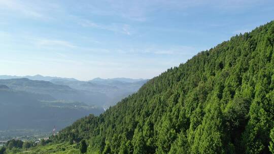 绿色森林植被 生态环保 绿水青山