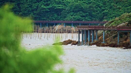 【4k原创】休渔期渔港空镜