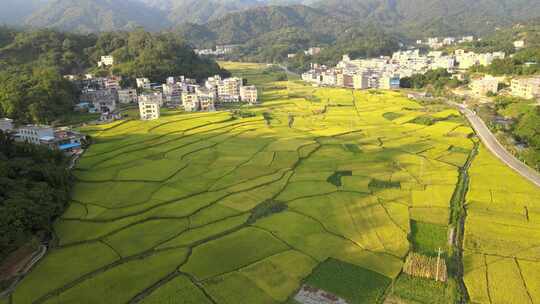 乡村航拍田野水库河流