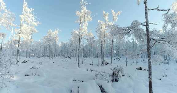 内蒙古大兴安岭冰雪雾凇、雪凇