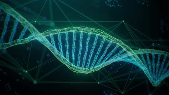 科技信息化数据DNA